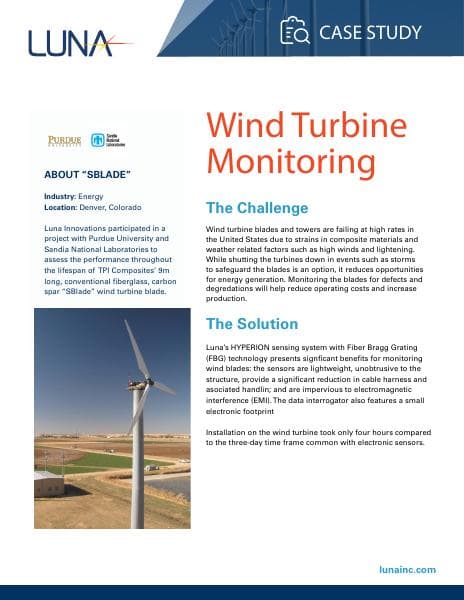 LUNA-Case-Study-Executive-Summary-SBlade