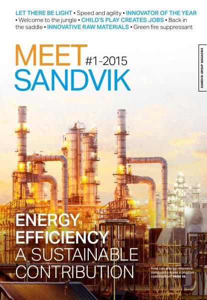 meetsandvik0115_mas_final