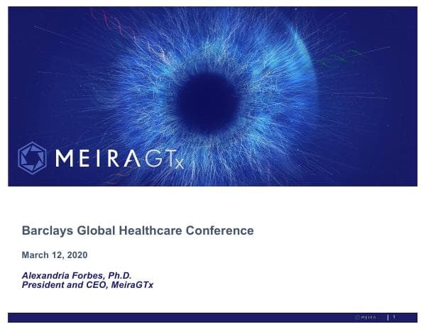 MeiraGTx Holdings_March_2020_532_53532