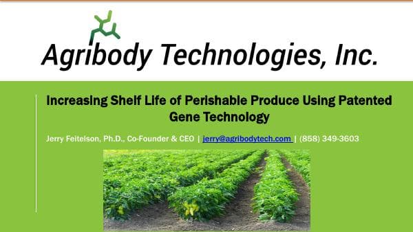 Modern_Ag_Panel_Jerry_Feitelson