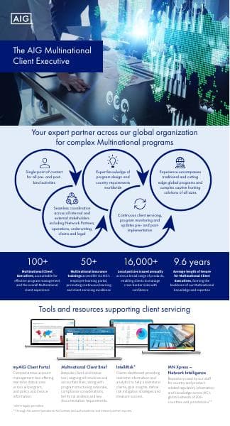 multinational-client-executive-infographic.pdf.coredownload