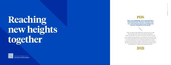 nationwide-financial-services-inc_2021