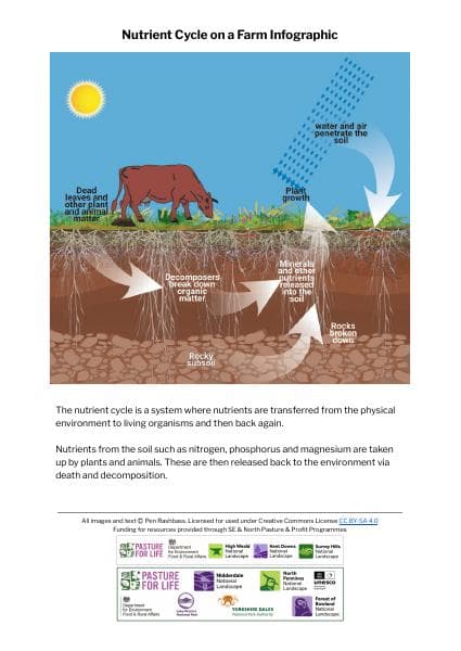 Nutrient-Cycle-on-a-Farm-Infographic