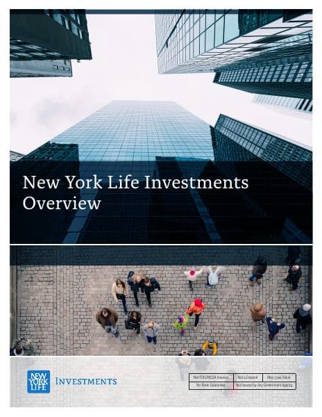 nyli-brand-infographic