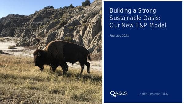 OAS%20Presentation%20-%20Feb%202021%20v12