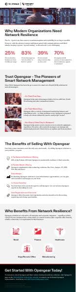Opengear-Solutions-Infographic