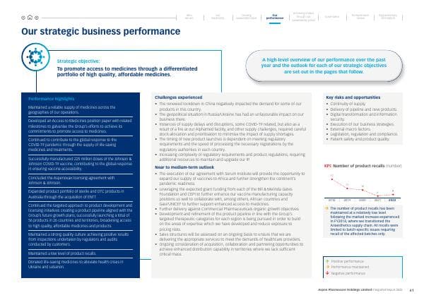 our-strategic-business-performance