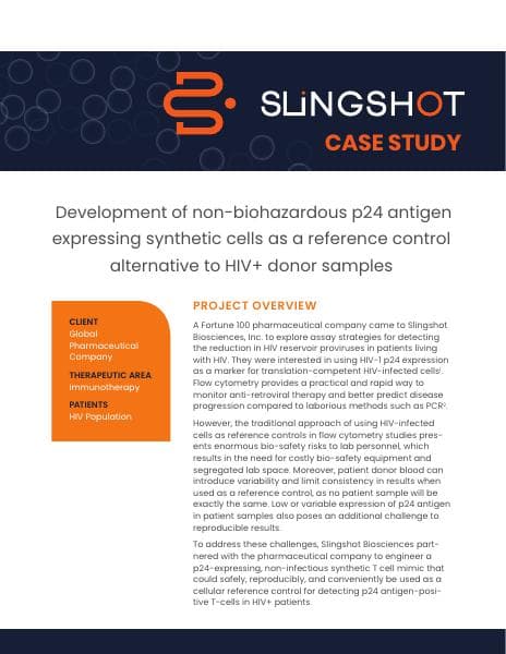P24%20Case%20Study%20Final