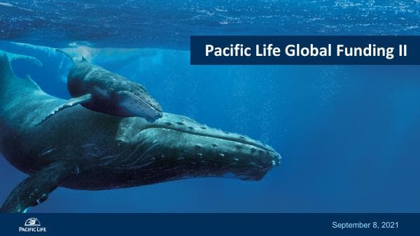 PacificLife-FABN-Investor-Presentation-Q22021