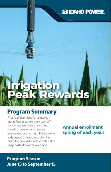 PeakRewardsProgramSummary