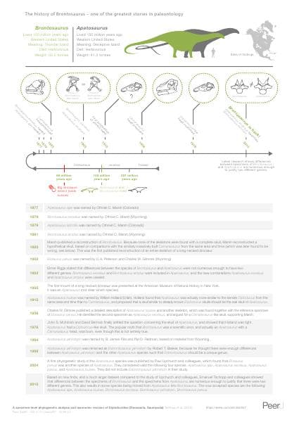 peerj-brontosaurus-timeline-with-details-infographic