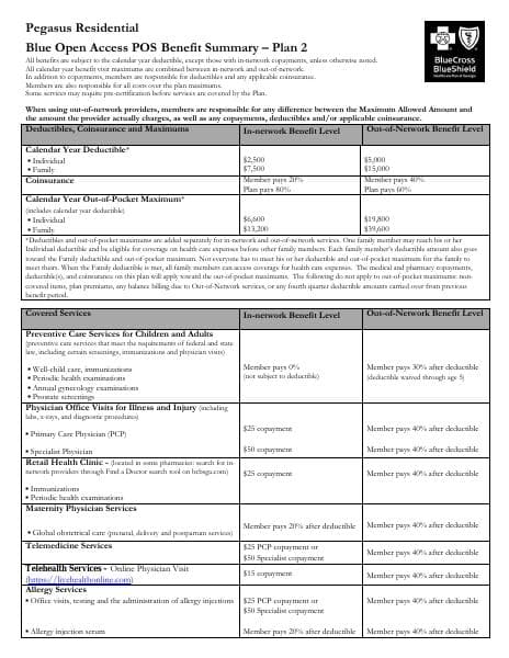 Pegasus_2017%20Plan2%20Summary_revised%201_5_17