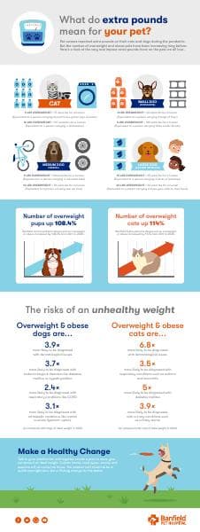 Pet-Obesity-Infographic_Full_061821