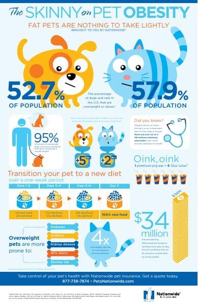 Pet_Obesity_Infographic