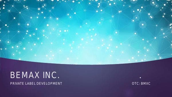 Pitch%20Deck%20-%20Final%20BEMAX%20INC