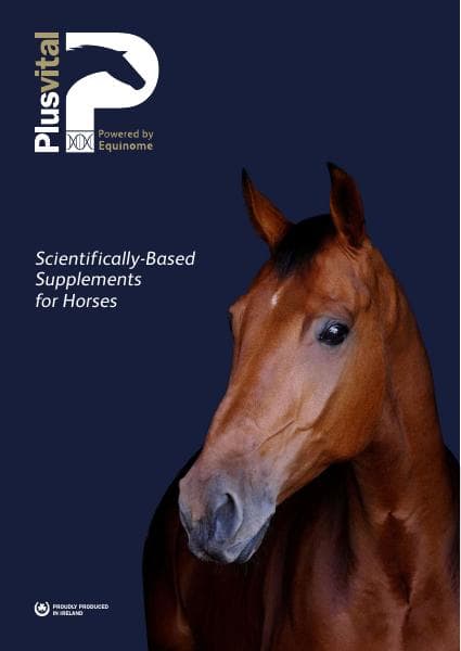 Plusvital-Brochure-Feb-22