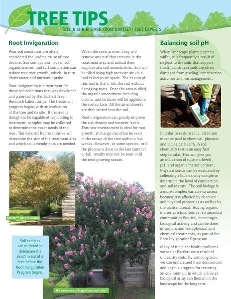 PNW-Summer2017TreeTips