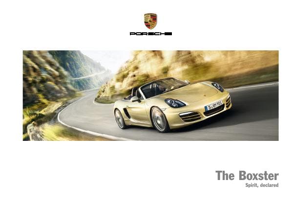 Porsche_int%20Boxster_2013