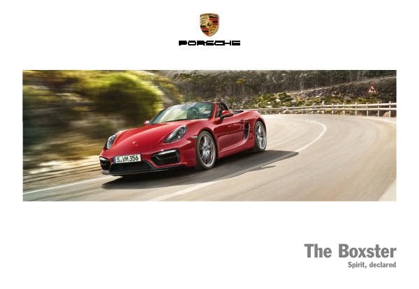 Porsche_int%20Boxster_2015
