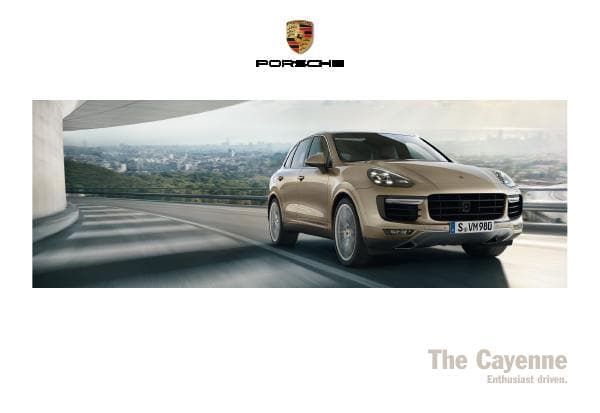 Porsche_int%20Cayenne_2015