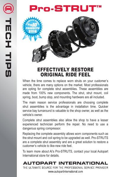 Pro_Strut_Tech_Tip20190423