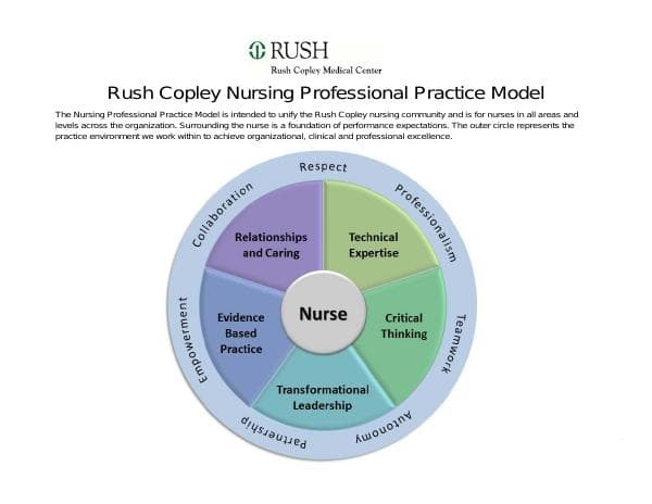 Professional-Practice-Model