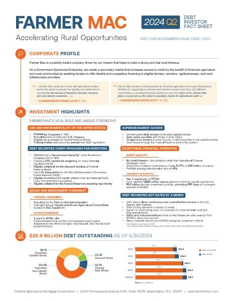 Q2-2024-Debt-Investor-Fact-Sheet