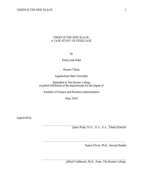 Rabe_Emily%20Spring%202018%20Thesis