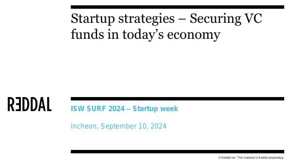 reddal-surf-startupstrategy-v08-240910