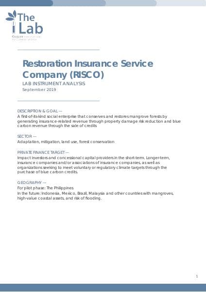 RISCO_Instrument-analysis-1