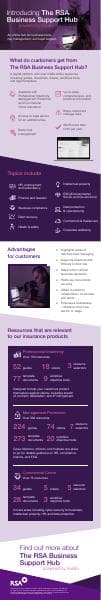 rsa-business-support-hub