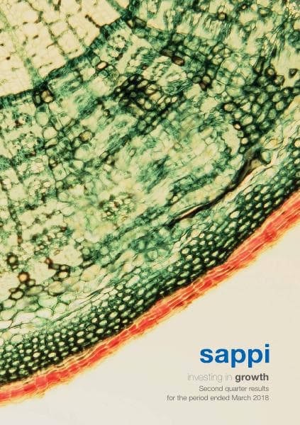 Sappi_March_2018_566_27566