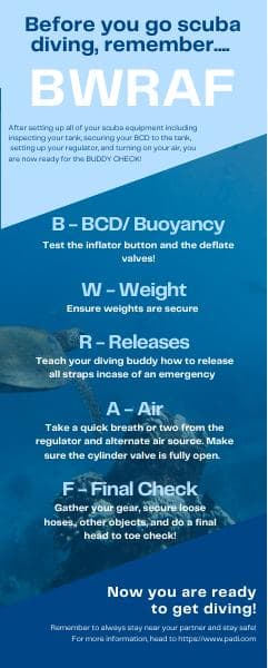 Scuba-Infographic-EDCI-1