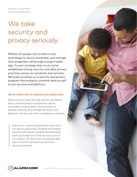Security-Privacy_Consumer_Flyer_2021_EN