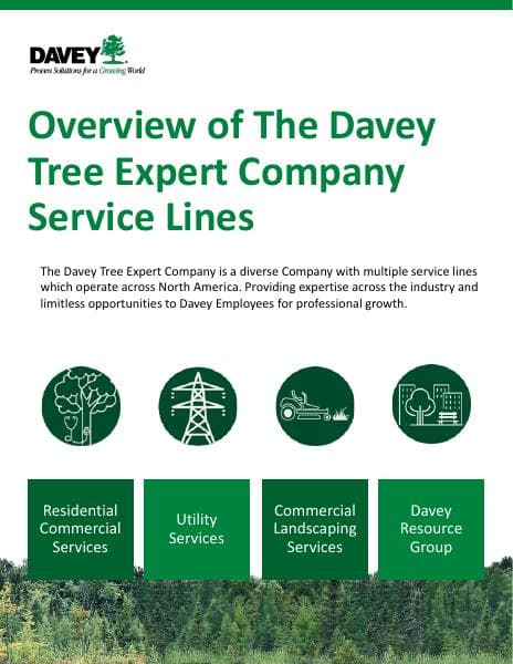 Service%20Line%20Summaries