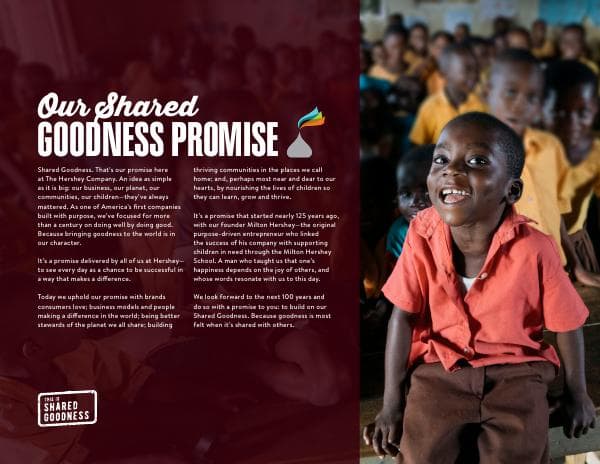 shared-goodness-promise-infographic