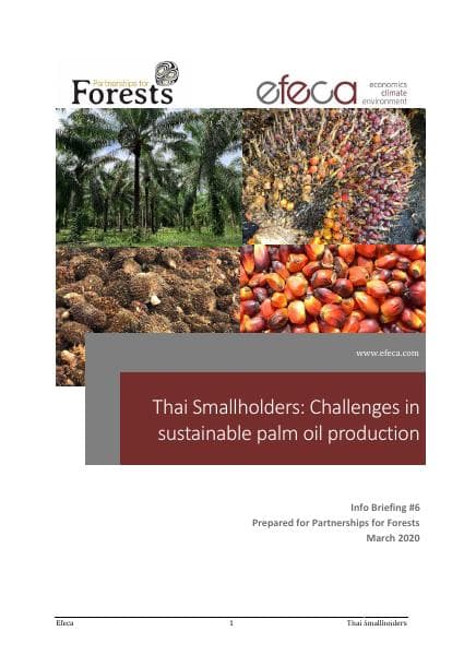 Smallholder-Briefing-Note-March-2020-Final-