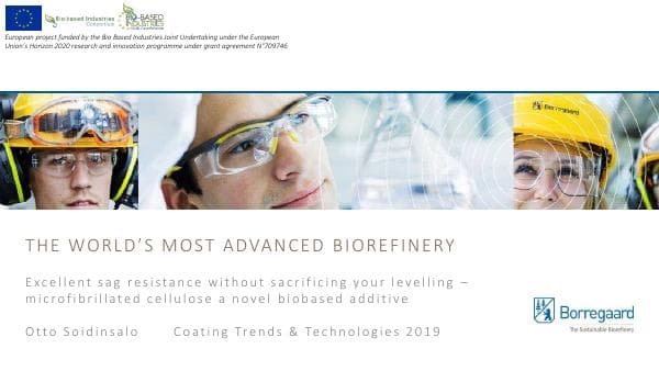 SoidinsaloOtto_Borregaard