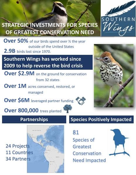 Southern_Wings_Infographic-_DRAFT3