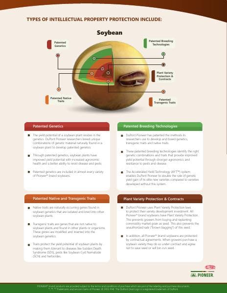soybean_patent_infographic