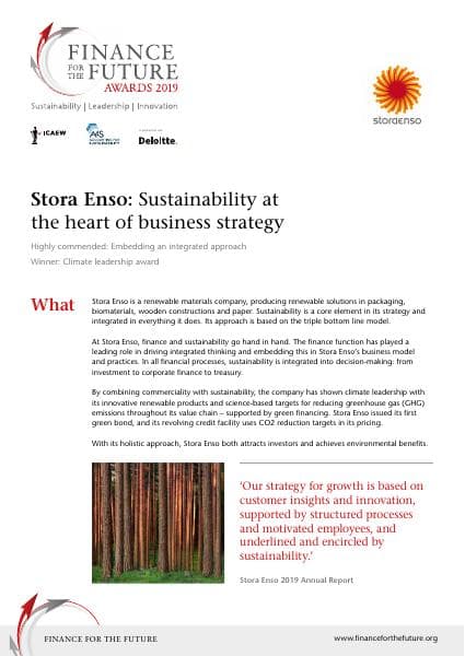 Stora%20Enso%20case%20study.pdf.downloadasset