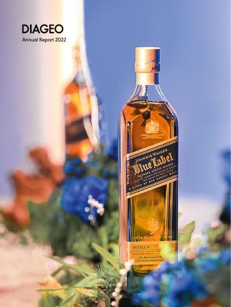 strategic-report_diageo-ar22