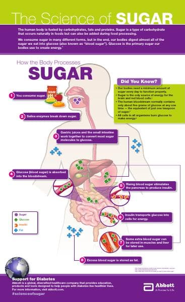 Sugar_infographic