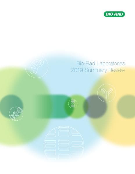 Summary_Review_2019