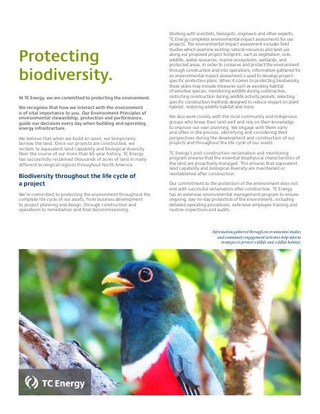 tc-2020-protecting-biodiversity-old
