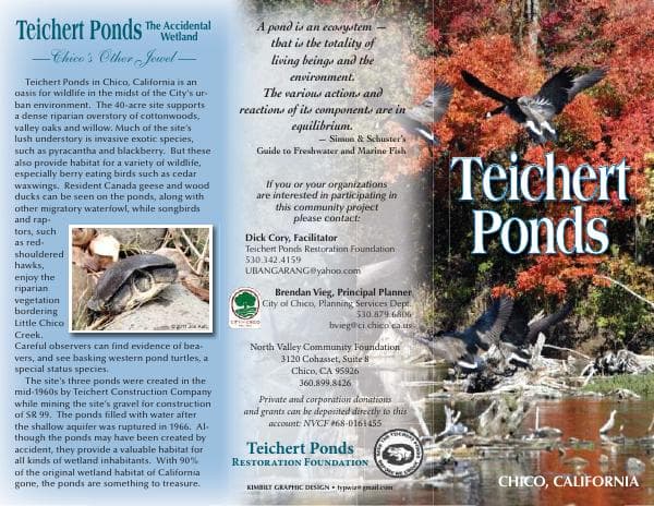 teichertbrochure_nvcf1