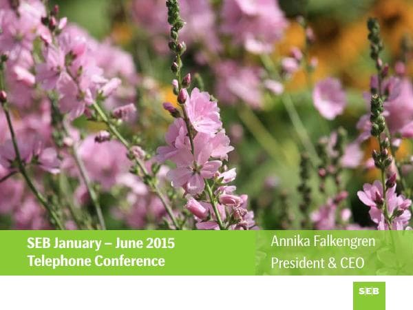 telephone_conference_presentation_2015_q2