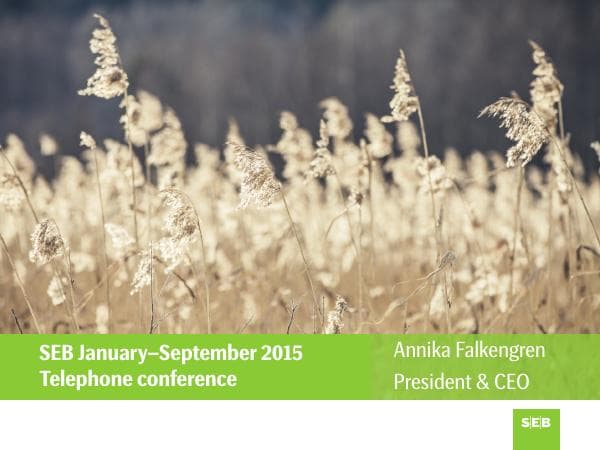 telephone_conference_presentation_2015_q3