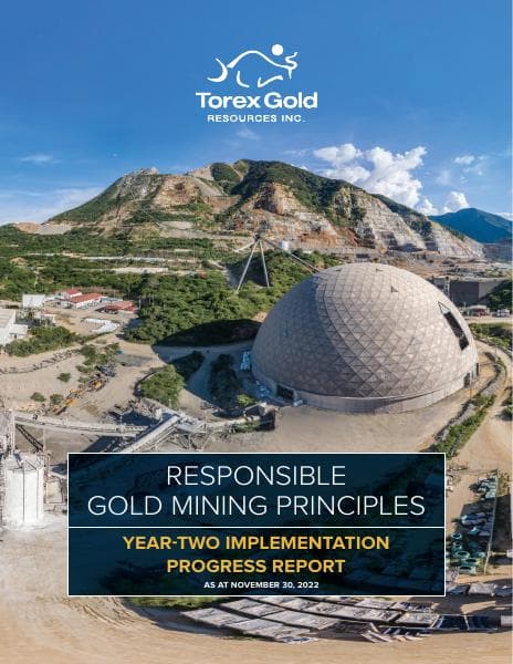 torex_rgm_principles_report_year_2
