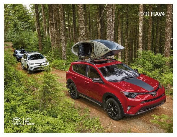 Toyota_US%20RAV4_2018